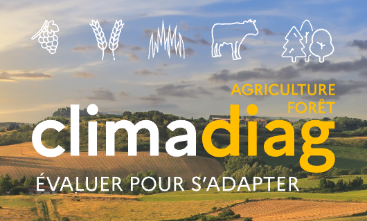 Climadiag Agriculture et forêt