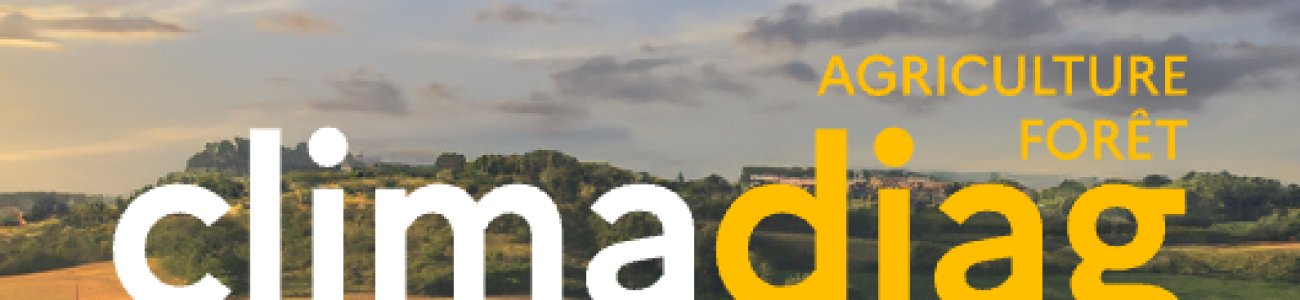 Climadiag Agriculture et forêt